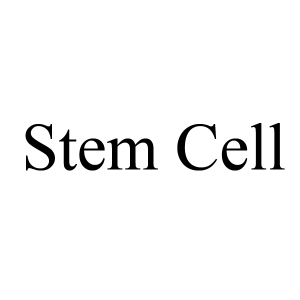 استم سل Stem cell