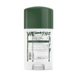 استیک ضد عرق دیپ سنس مدل بامبو و درخت چای حجم 40 میل