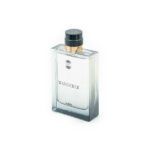 ادکلن مردانه اجمل Wanderer حجم 100 میل | رایحه خنک و ماندگار مخصوص آقایان شیک‌پوش