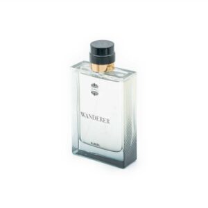 ادکلن مردانه اجمل Wanderer حجم 100 میل | رایحه خنک و ماندگار مخصوص آقایان شیک‌پوش
