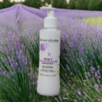 کرم ترمیم کننده مو ۱۰ در ۱ رنه بلانش مدل Miracle Tree حجم ۲۰۰ میل